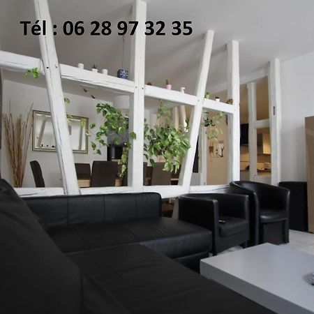 Gite Hyper Centre 10 Pers Colmar Buitenkant foto