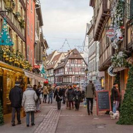 Gite Hyper Centre 10 Pers Colmar Buitenkant foto